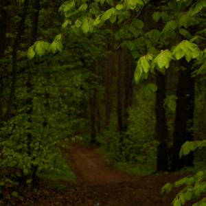 Pozostałe fotografie